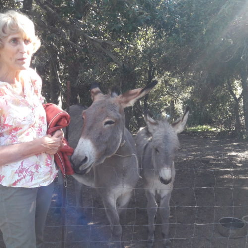 Lady with donkeys in Orgosolo