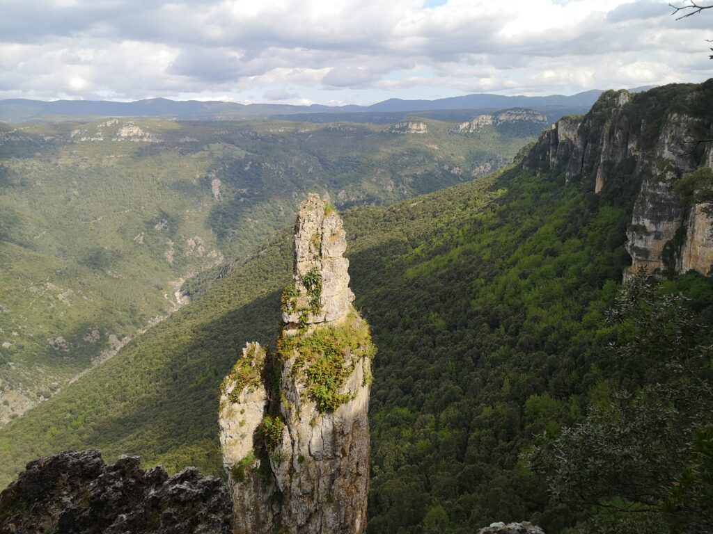vista del tacco calcareo di su Campalini dalla foresta corongia sopra la cascata di sa stiddiosa 
